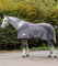 Waldhausen Fleece/Fliegendecke Comfort, grau, 155 cm