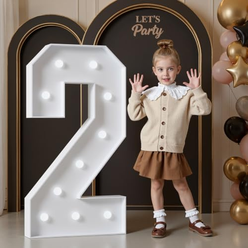 Mixifox 4FT Light Up Numbers for Birthday Decoration Large Numbers 2 | for Party Decorations Wedding Graduation Decorations Foam board Assembly Required Cool White Light 21 Pcs Accessory Set