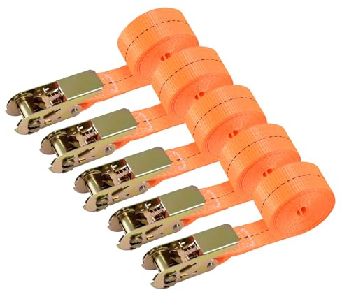 5 correas tensoras con carraca, 4 Mx 25 mm, correas de amarre con trinquete para coche, carretilla, motocicleta, equipaje, camping, transporte, carga de 800 kg, resistente y resistente a la intemperie