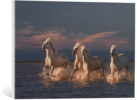 kunst für alle Leinwandbild: Rostov.Foto@gmail.com Engel der Camargue - hochwertiger Druck, Leinwand auf Keilrahmen, Bild fertig zum Aufhängen, 60x40 cm