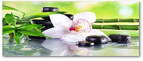 Tulup Glas-Bild Wandbild aus Glas - Wandkunst - Wandbild hinter gehärtetem Sicherheitsglas - Dekorative Wand für Küche & Wohnzimmer 125x50 - Blumen & Pflanzen - Orchidee - Weiß