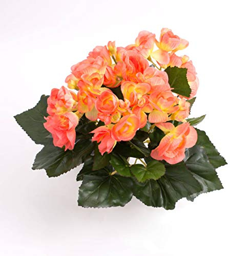 artplants.de Künstliche Mini Begonie Ivana, 27 Blätter, 9 Blüten, lachs, 20cm, Ø 20cm - Künstliche Blumen - Textilblumen orange