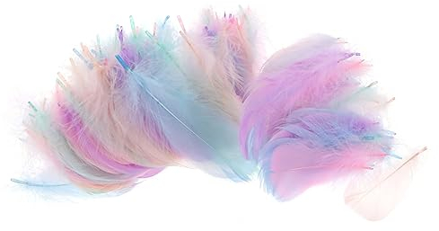 NUOBESTY 200pièces Décoration De Plume Pour Attrape-rêves Colorés Accessoires Pour Vêtements Et Fêtes Pour Mariages Et Événements Spéciaux