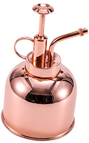 CAXUSD Pflanzen Sprühflasche Mit Pumpe Gießkanne Für Sukkulenten Vintage Bewässerung Flasche Sprühflasche Für Garten Und Küche Edelstahl Gießflasche