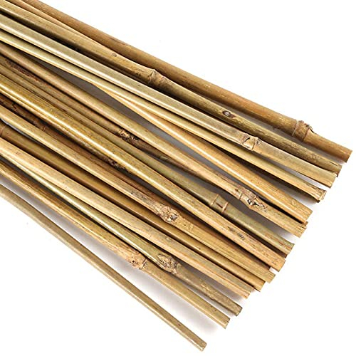 OULVLIFE Pieux de Jardin en Bambou Naturel pour Plantes de Jardinage d'intérieur, Lot de 20 (30)
