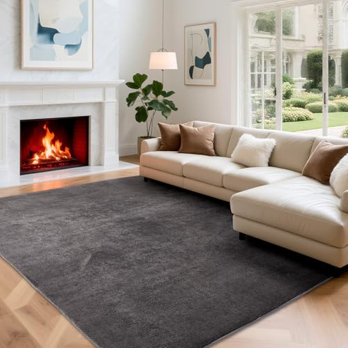 Puremy Alfombra de SalóN, de Pelo Corto, Alfombras Moderna para decoracióN, Mullida, Suave, de Color Liso, para Dormitorio, HabitacióN Infantil (240 X 340 Cm, Gris Oscuro)
