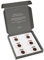 Boutoi Toilette Blöcke Black Amber | Luxus WC-Steine für Spülrandlose Toiletten | 6 Duftsteine – Über 300 Spülungen | Umweltfreundlicher, Einfacher Austausch