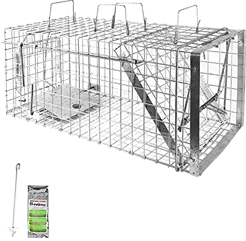 Petigi Gabbia Trappola per Animali Talpa Ratto Mouse Topo Nutria 80 x 34 x 34 cm