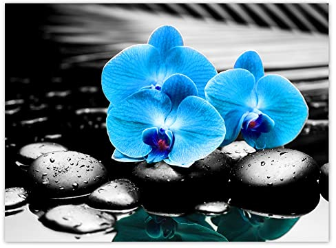 WTD H5610M_NS1AS Stickers muraux Motif orchidée Turquoise 135 x 100 cm