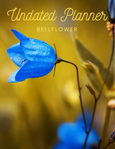 Bellflower Undated Planner: The Bellflower with 2 years plans and 24 months with Flexible Glossy Cover