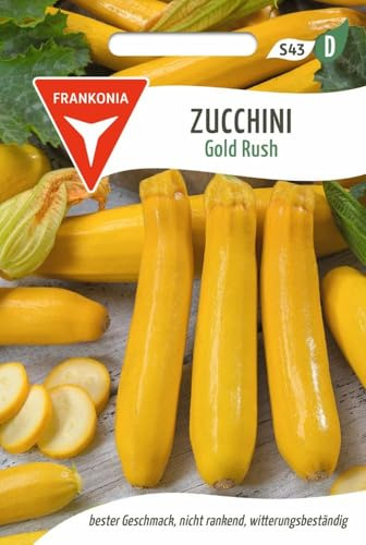FRANKONIA Calabacín, Fiebre del Oro F1 - Semillas de Hortalizas Semillas de Calabacín (Cucurbita pepo)