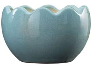 FEELIN Jardineras Maceta suculenta de orquídea Creativa Personalizada, Maceta Decorativa de cerámica de Gran diámetro for Plantas Verdes Jardineras para Plantas de Interior (Color : Blue, Size : M)