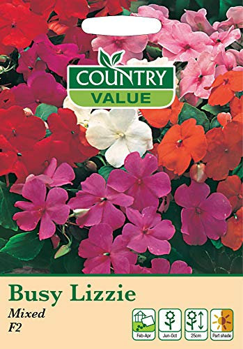 Busy Lizzie Seeds Mixed F2 by Country Value Flowers