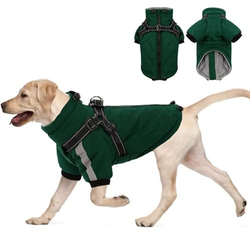 CITÉTOILE Warmer Hundejacke mit Geschirr, Winddichte Hundemantel für Kaltes Wetter, Hundebekleidung mit Reißverschlüssen und Lockeren Bündchen für Hunde, Grün, XL