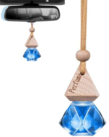 VPOUERY Deodorante per auto,diffusore a clip per albero profumato,Profumo per auto contro gli odori,Distributore di profumo interno,10 ml(B)