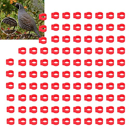 lvifloae 100PCS 8mm Birds Leg Rings,Pigeons Identification Leg Rings Poultry Leg Bands No Words Pigeons Supplies Clip on Leg Rings for Chicks, Quail, Dove (Red)