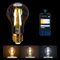Aigostar Smart Bulb E27, Alexa Light Bulb, WiFi Smart Bulb 6W LED Filament Bulb Works with Amazon Alexa&Google Home, Dimmable 2700-6500K Warm to Cool Daylight Vintage LED Bulb A60, No Hub Required