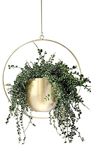 Anawakia Pot de fleurs à suspendre en métal - Pot de fleurs suspendu - En métal - Pot de décoration au plafond - Panier à plantes (rond doré)