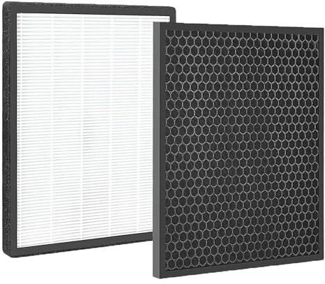 FY2420/40 & FY2422/40 Ersatzfilter für Philips Luftreiniger Serie 2000 2000i, für Philips AC2889 AC2887 AC2882 AC3829 (1er HEPA Filter und 1er Aktivkohlefilter)