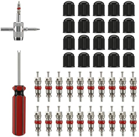 44 extractores de válvulas: 20 insertos de válvula de coche, 20 tapas de válvula de neumáticos, 1 herramienta para válvula de neumáticos, 1 herramienta de válvula, extractor de inserto de válvula