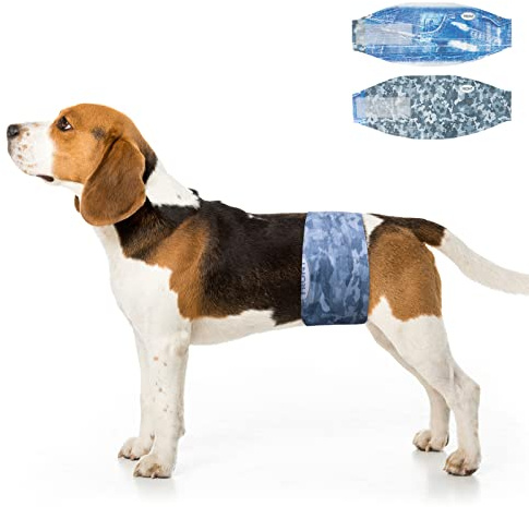 Dono Hundewindeln für Rüden, 36 Stück, Extrabreite Rüdenwindel, super saugfähig, auslaufsicher, Hunde Windeln Rüde für Inkontinenz, Reise, XS, S, M, L