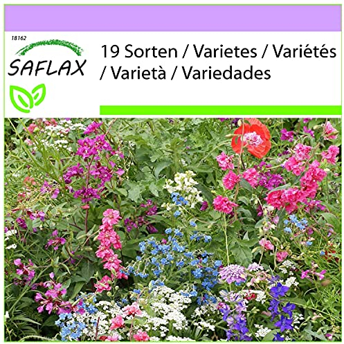 SAFLAX - Piante da ombra - 1000 semi - 19 Sorten