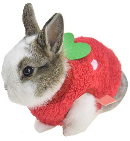 ZLALF Costumi per Animali di Halloween Abiti da Coniglio Coniglietto Caldo d'inverno Abiti per Piccoli Animali Furetto,Red-3S