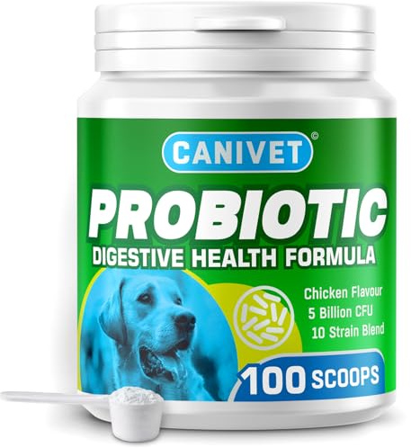 CANIVET Probiotics for Dogs | High Strength Gut Health Supplement Powder | 5 Billion CFU, 10 Live Strains | Digestive Support for Diarrhoea, Loose Stools & Sensitive Stomachs | UK Made | 100g