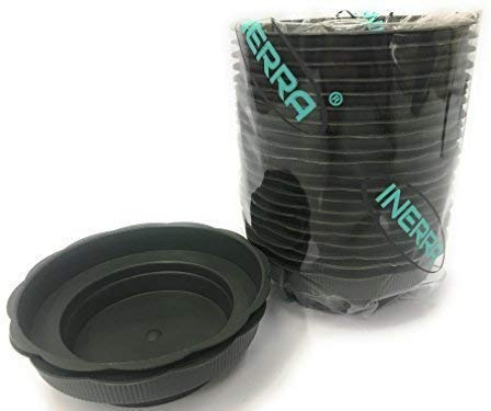 INERRA Floral Junior Bowls - Green Round Plastic Florist Dishes for Foam Cylinders (Pack of 25 Bowls)