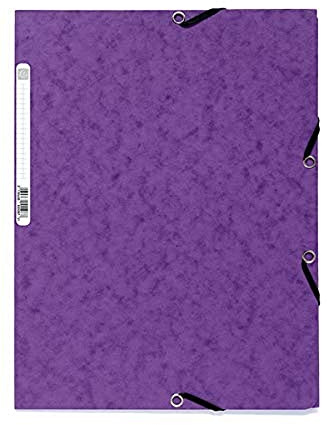 Exacompta - Ref. 55508E - Låda med 25 elastiska mappar - fickor med 3 flikar - i 400 g/m2 glansig kartong - mått 24 x 32 cm för A4-dokument - färg lila