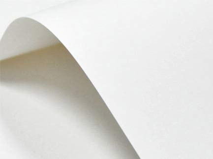 Netuno 20x Bastelkarton Weiß glatt DIN A4 21 x 29,7 cm 246g Elfenbeinkarton Ultraweiß Karton a4 zum Bedrucken für Visitenkarten Einladungs-Karten Menükarten Zertifikate Urkunden Diplome