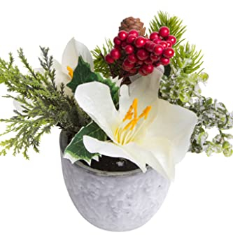 Botanic-Haus künstliches Amaryllis-Tannen-Arrangement im grauen Keramiktopf (Creme-weiß)