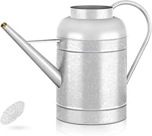 LONGRUN 9L Gießkanne mit Rosensprinkler, verzinktes Eisen, Silber, für Garten- und Pflanzenbewässerung im Innen- und Außenbereich