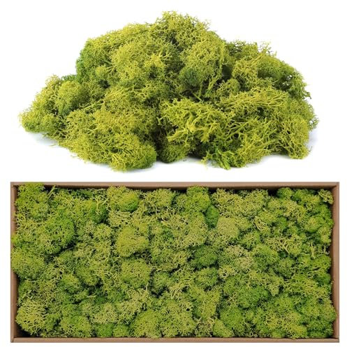 AIBAOBAO Fake Moss, Fake Faux Natural for Crafts, 200g Grass Artificial Moss for Indoor Plant Pots, Wedding Party Table Decorations, Forest Art for Fairy Gardens, Terrariums, Preserved Decoration, DIY