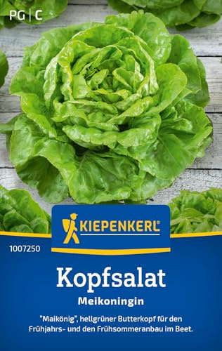 Kiepenkerl Kopfsalatsamen Meikoningin 1007250, Gemüsesaat | Salatsamen für Frühjahr und Frühsommer, geeignet für Frühbeet oder Folientunnel
