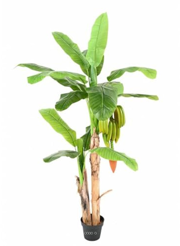 Artificielles.com Künstliche Bananenbaum, 2 Stämme im Topf, Höhe 180 cm, Durchmesser 130 cm, mit Bananen