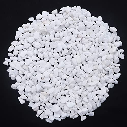 KAIAIWLUO Mini Pierre Blanches,500g Pierres Décoratives Petit Gravier Gravier Galets Pierres Petits Poli Pierres de Blanc pour Aquarium Décorations de Jardin Pots de Fleurs et Plantes Vase