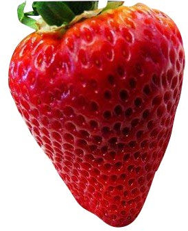 20 graines -rouge Fraises-