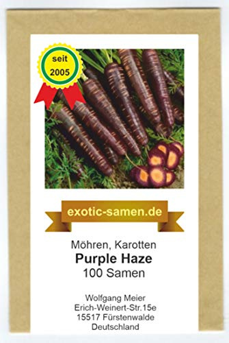 Karotte - Möhre - Purple Haze Hybrid - 100 Samen
