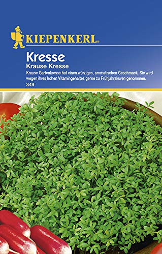 Kiepenkerl 349 Krause Kresse (Kressesamen)