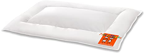 HANSKRUCHEN® Maxi und Moritz Baby Kopfkissen 40x60 cm - Made in Germany Flachkissen aus 100% Baumwolle - 90% Daunen / 10% Federn - Allergiker geeignet