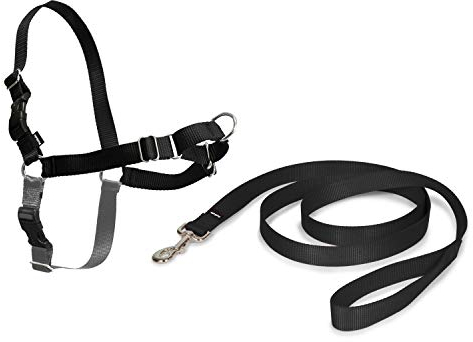 PetSafe Easy Walk Geschirr, zugfreies Gehgeschirr für Hunde, verstellbare Passform, inkl. 1,8 m Leine, Small-Schwarz/Beige