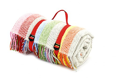 Tweedmill Polo Picknickdecke mit wasserdichter Unterseite, Regenbogengrau gestreift