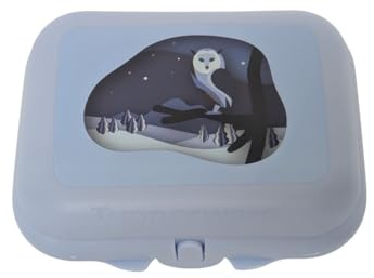 Tupperware To Go Twin Mini Twin, blu chiaro, gufo invernale, misura 1, contenitore per il pranzo, doppia scuola, asilo, sandwich box per bambini