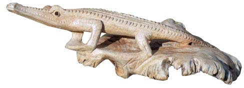 Wogeka Großes Krokodil aus Parasitenholz Tier Echse Kaiman Aligator Holz Parasit15