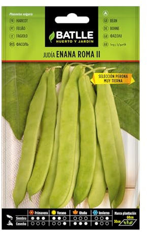 Semences horticoles de Batlle - Haricot nain Rome Perona (25g), Blanc