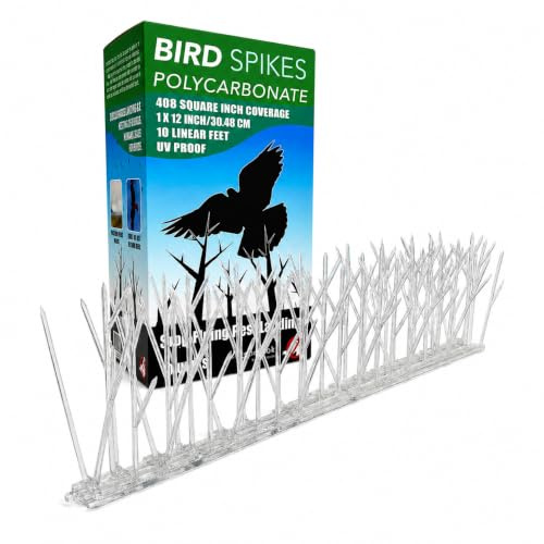 ASPECTEK Rostfritt Stål Fågelspikar Kit - 10 Meter Transparent Silikonlim