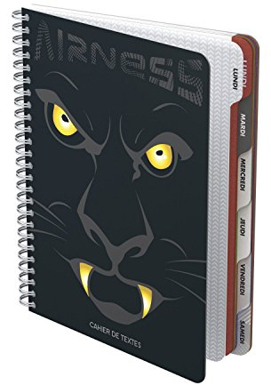 1 Hausaufgabenheft Airness Sauriers 16 x 22 cm