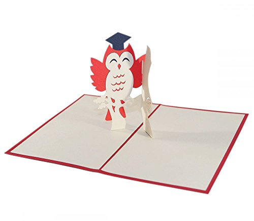 3D Kartenwelt - Eule zum Schulabschluss oder bestandenen Examen - 3D Pop Up Karte/Glückwunschkarte