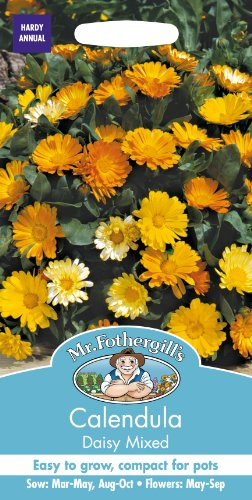 Mr Fothergill's 14474 Flower Seeds, Calendula Daisy, Mixed Yellows